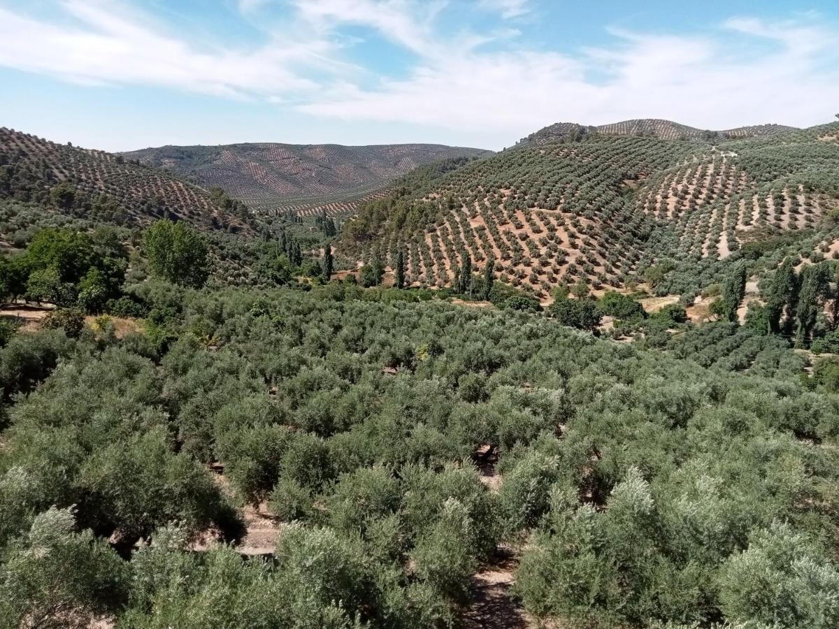 Вилла El Almendro De La Tia Teresa Прадос-де-Армихо Экстерьер фото