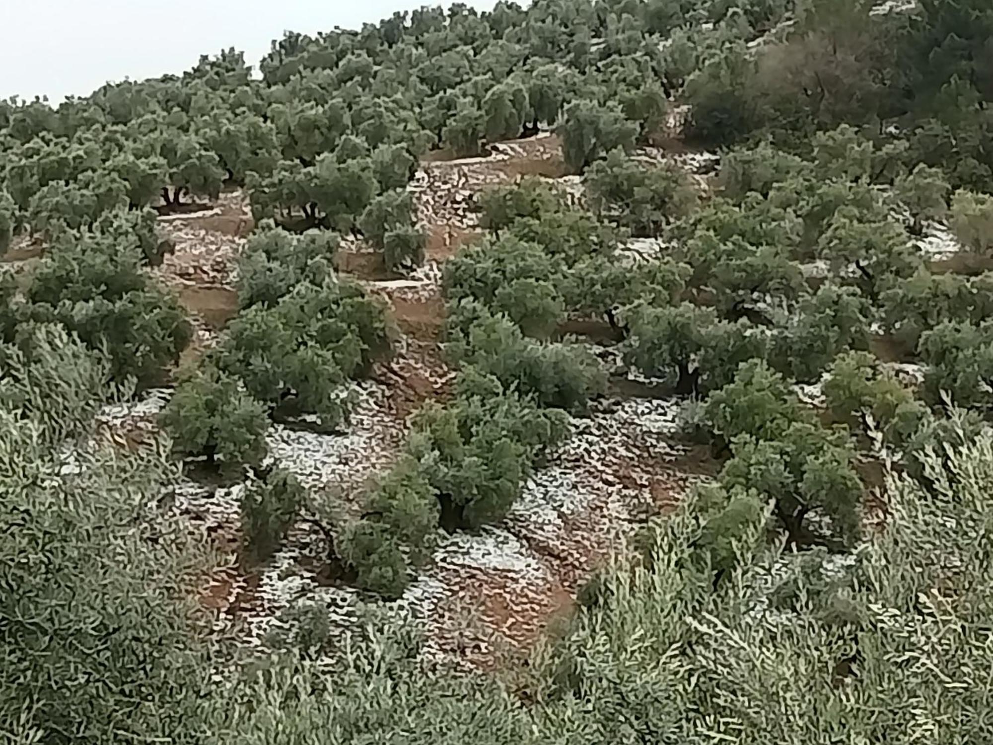 Вилла El Almendro De La Tia Teresa Прадос-де-Армихо Экстерьер фото